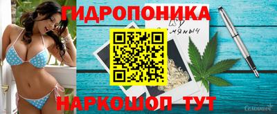 ECSTASY Конаково