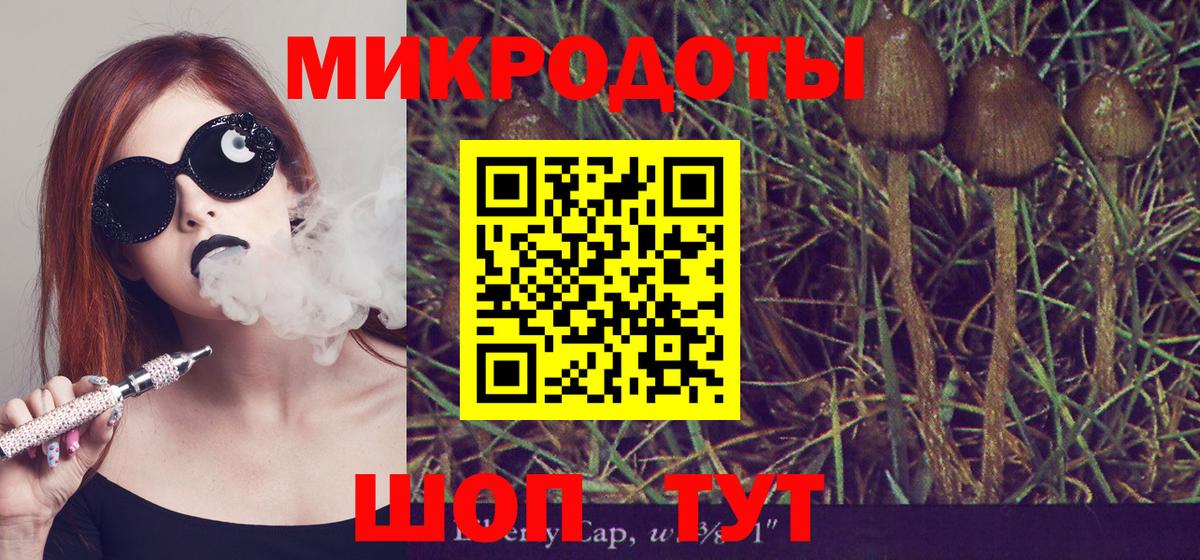 Галлюциногенные грибы MAGIC MUSHROOMS Качканар