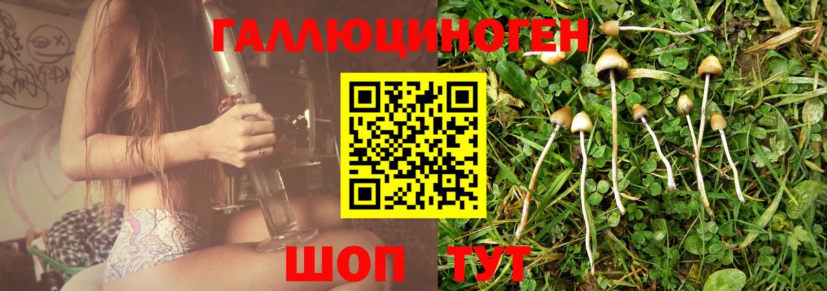 Псилоцибиновые грибы ЛСД  Вход с VPN  Качканар 